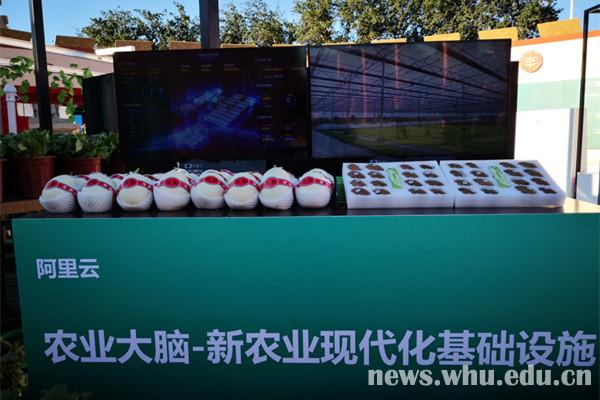 将人工智能与农业深度结合 史良胜“ET农业大脑”在丰收节展出