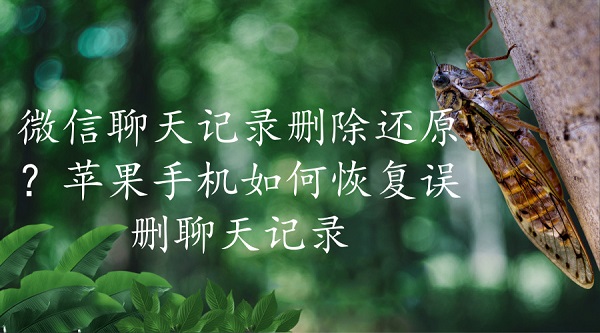 默认标题_微信公众号首图_2018.09.14.jpg